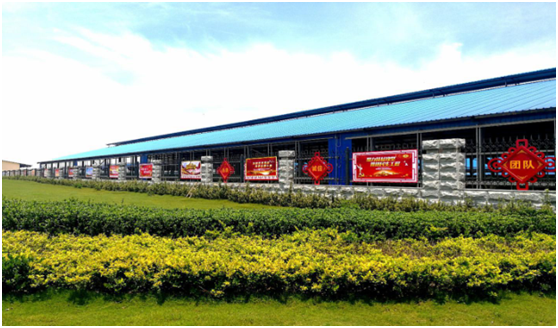 “ 看聽談查 ”板 找短板 黨建巡查促提升——花花牛集團黨委開展基層黨建工作巡查 “ 看聽談查 ”板 找短板 黨建巡查促提升——花花牛集團黨委開展基層黨建工作巡查