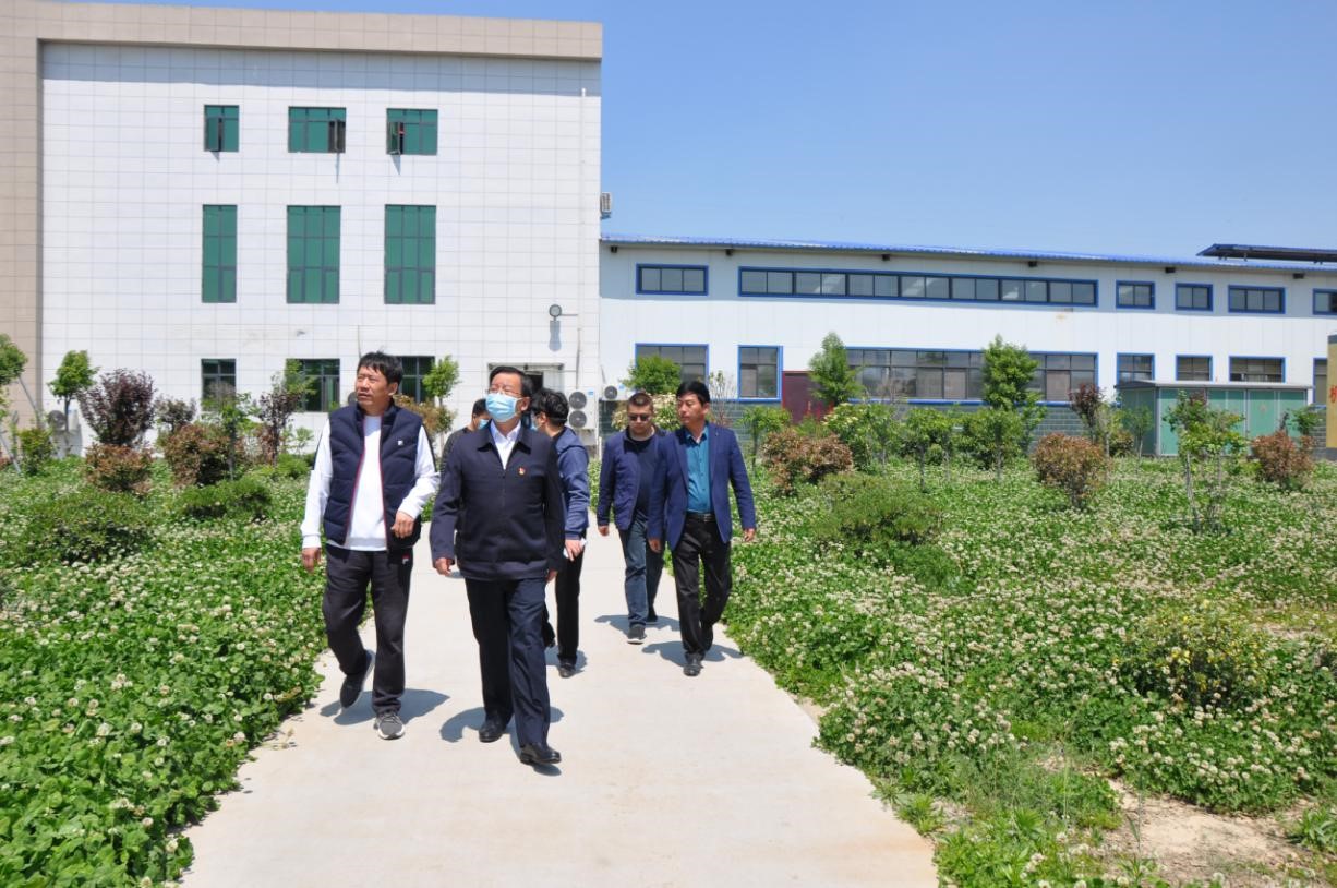 商丘市委常委、宣傳部部長王全周一行蒞臨睢縣瑞亞牧業有限公司調研 商丘市委常委、宣傳部部長王全周一行蒞臨睢縣瑞亞牧業有限公司調研