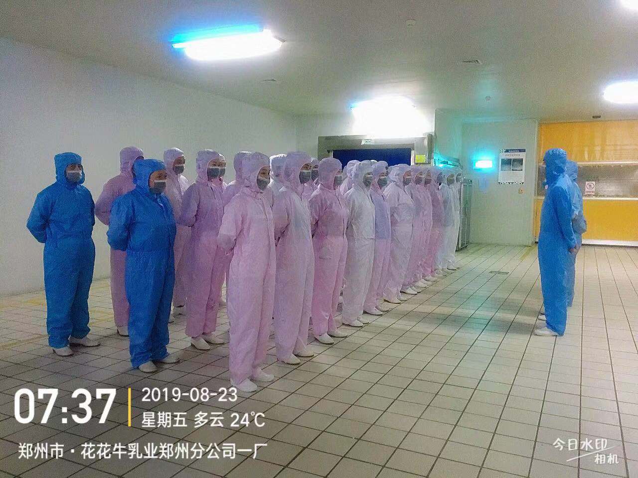 小晨會·大能量——砥礪奮進的花花牛,加油! 小晨會·大能量——砥礪奮進的花花牛,加油!