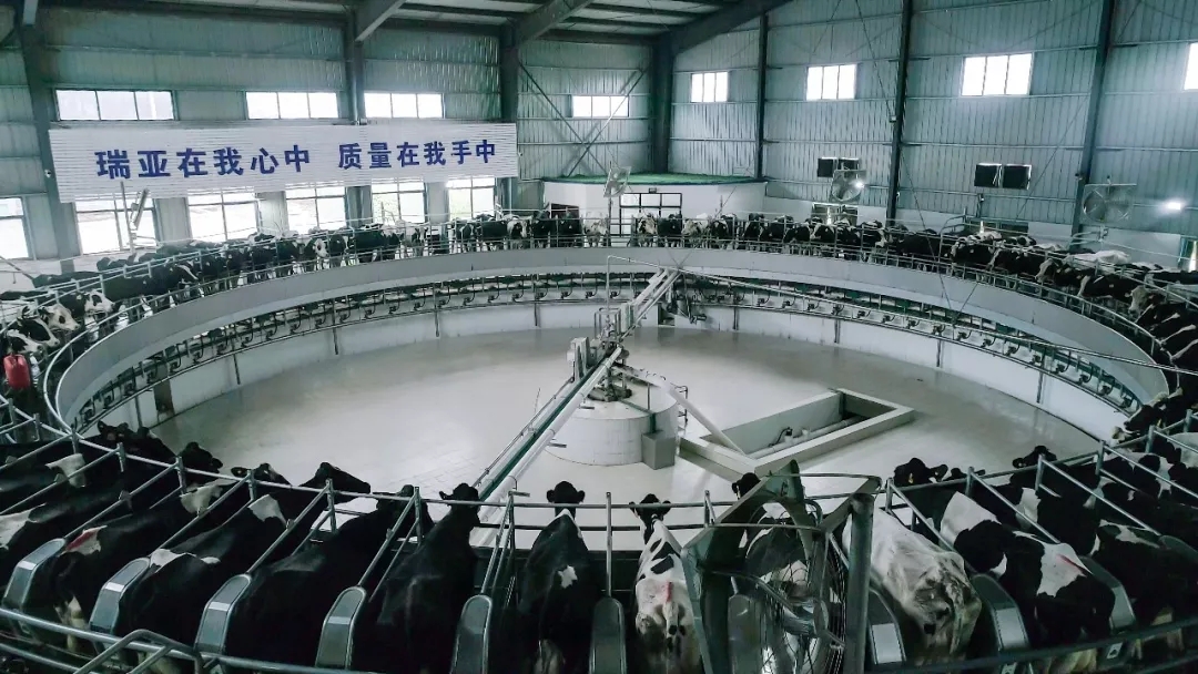 省委書記王國生到河南花花牛乳業集團·新蔡瑞亞牧業有限公司調研 省委書記王國生到河南花花牛乳業集團·新蔡瑞亞牧業有限公司調研