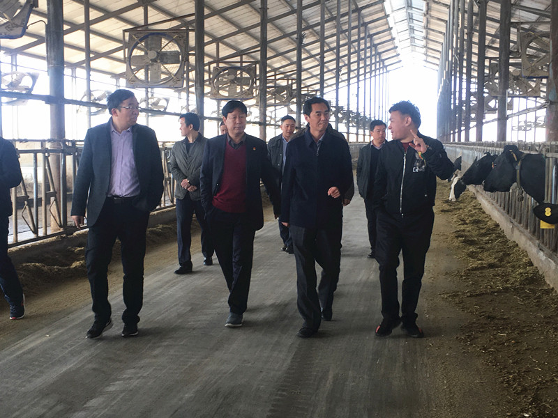 封丘縣縣長(zhǎng)王獻(xiàn)臣一行蒞臨 花花牛集團(tuán)養(yǎng)殖、乳品事業(yè)部參觀(guān)調(diào)研 封丘縣縣長(zhǎng)王獻(xiàn)臣一行蒞臨 花花牛集團(tuán)養(yǎng)殖、乳品事業(yè)部參觀(guān)調(diào)研
